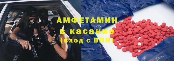 крисы Новозыбков