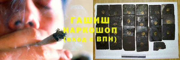 крисы Новозыбков