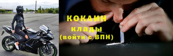 индика Нефтегорск