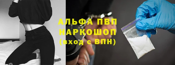 крисы Новозыбков