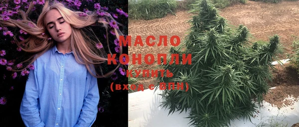 крисы Новозыбков