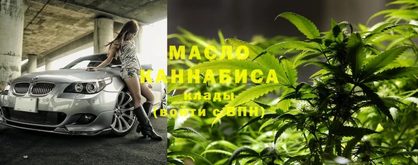 крисы Новозыбков