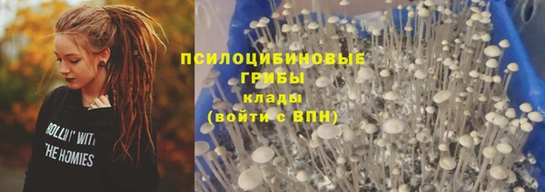 гидропоника Новодвинск