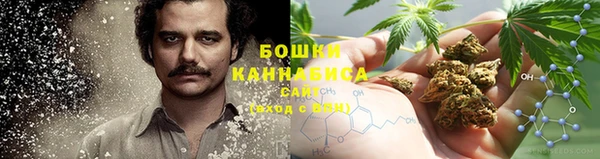 крисы Новозыбков