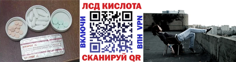 как найти закладки  Ливны  ЛСД экстази ecstasy 