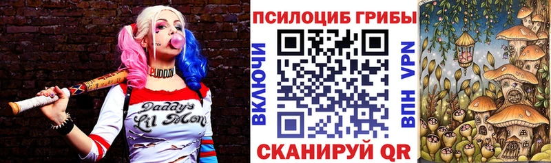 Галлюциногенные грибы Cubensis где можно купить Ливны